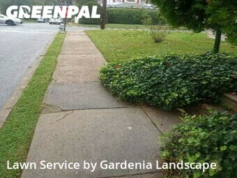 Lawn Cut nearby Lansdowne, PA, 