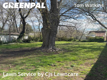 Lawn Cut nearby Springfield, MO, 
