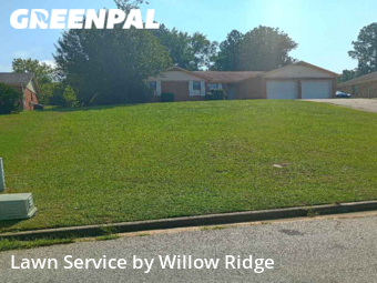 Lawn Cut nearby Hephzibah, GA, 