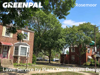 Lawn Cut nearby Chicago, IL, 