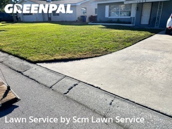 Yard Cutting nearby Clearwater, FL, 