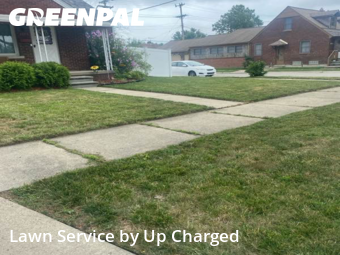 Landscaping Maintenance in Wyandotte, 48192, Weed Trimming by Up Charged , work completed in Nov , 2025