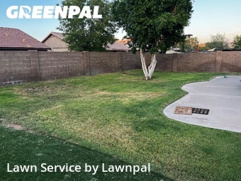 Affordable Landscaping In Mesa,85209,Landscapers by Lawnpal, work completed in Nov , 2025
