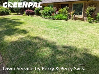 Lawn Cut nearby Jackson, MS, 