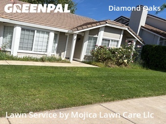 Work completed by grass-care-professionals-in-Roseville-CA