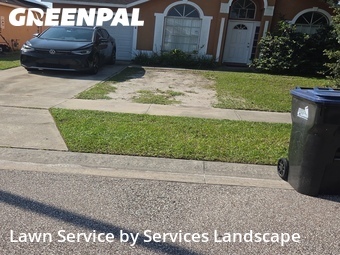 Grass Cut nearby Orlando, FL, 