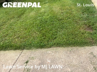 Yard Cutting nearby St Louis, MO, 