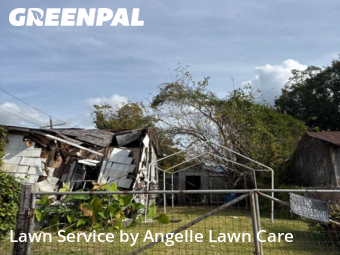 Lawn Cutin Lafayette,70501,Yard Mowing by Angelle Lawn Care , work completed in Nov , 2025