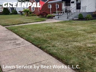 Lawn Cut nearby Cheektowaga, NY, 