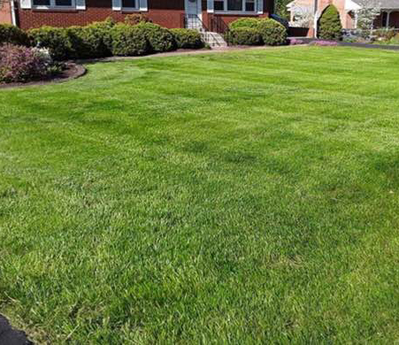 Lawn Mowing Contractor in Nashville Davidson, TN, 37122