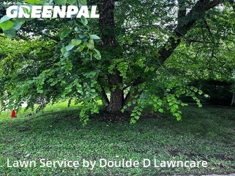 Grass Cutting nearby Des Moines, IA, 