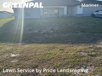 Yard Cutting nearby Cape Coral, FL, 
