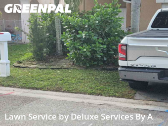 Lawn Cutting in Coconut Creek, 33066, Grass Services by Deluxe Services By A, work completed in Nov , 2025