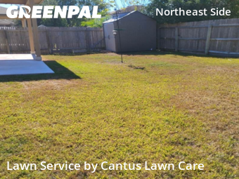 Lawn Cutin Converse,78109,Grass Cutting by Cantus Lawn Care , work completed in Dec , 2025
