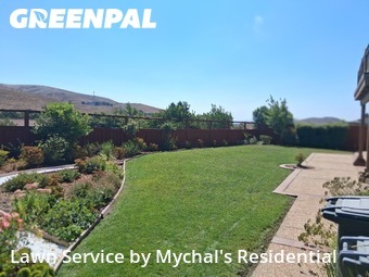 yard-maintenance-professionals-in-Fairfield-CA