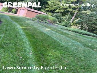 Grass Cut nearby Towson, MD, 