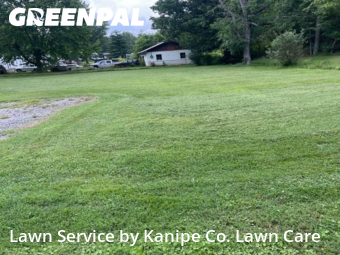 Lawn Mow nearby Kingsport, TN, 