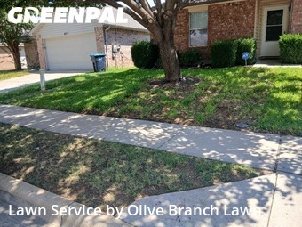 Lawn Mowing Service nearby Haslet, TX, 