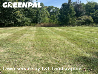 Lawn Maintenance nearby Forest, VA, 