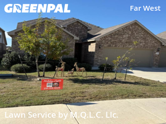Lawn Carein San Antonio,78254,Grass Cut by M.Q.L.C. Llc., work completed in Dec , 2025