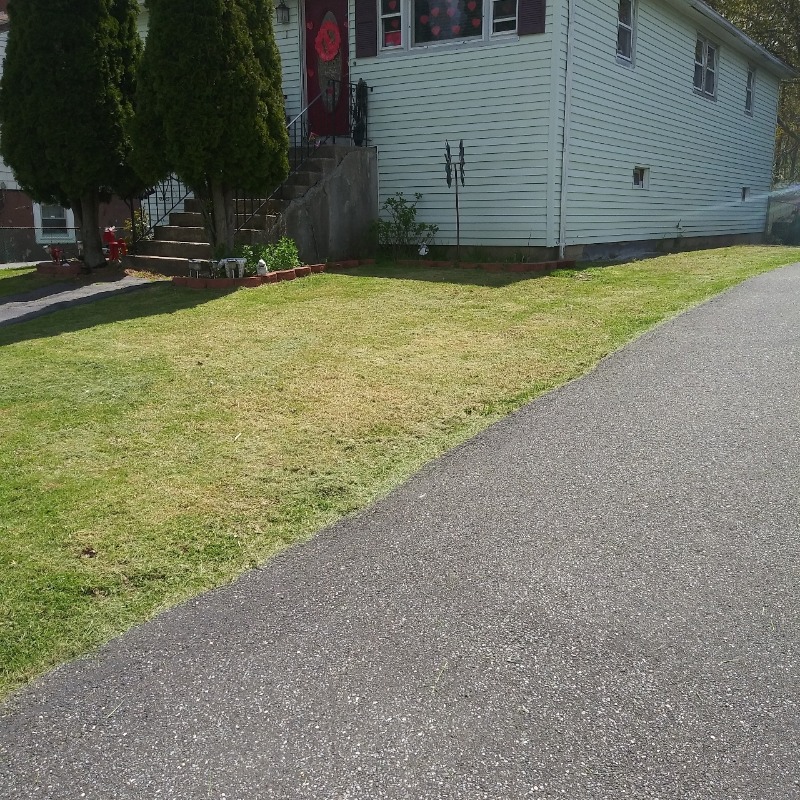 lawn-care-services-in-Waterbury-CT