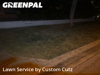 Grass Cut nearby St. Pete Beach, FL, 