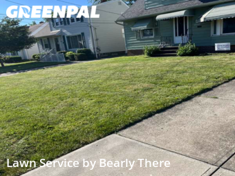 Yard Cutting nearby Cleveland, OH, 