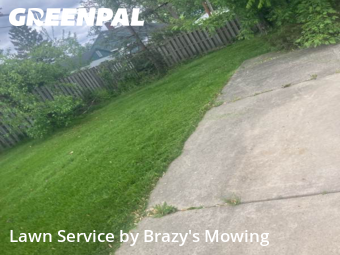 Backyard Mowing in Garden City, 48135, Backyard Mowing by Brazy's Mowing Llc, work completed in Nov , 2025