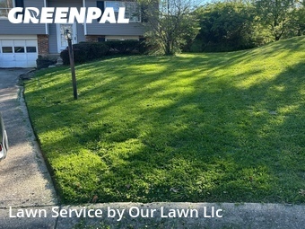 Lawn Cut nearby Miami Heights, OH, 