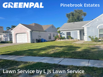 Grass Cut nearby Largo, FL, 