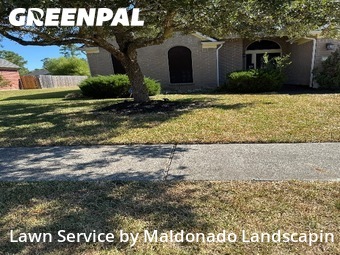 Lawn Mowin Humble,77346,Grass Cutting by Maldonado Landscapin, work completed in Nov , 2025