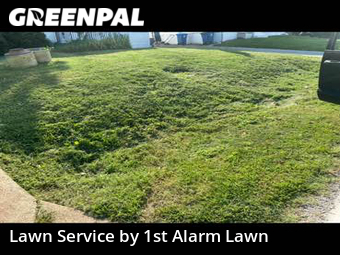 Grass Cut nearby St. Louis, MO, 