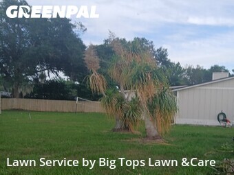 Lawn Cut nearby Longwood, FL, 