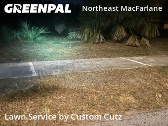 Lawn Cut nearby Tampa, FL, 