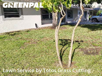 Lawn Service nearby Orlando, FL, 
