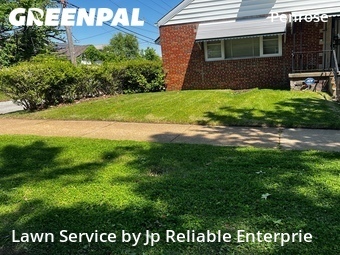 Lawn Service nearby St. Louis, IL, 
