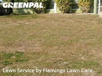 Yard Upkeep in Fort Myers, 33967, Weekly Mowing by Flamingo Lawn Care, work completed in Dec , 2025