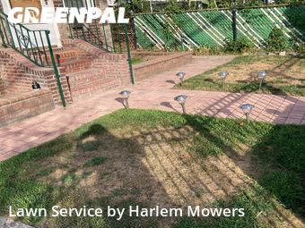 Lawn Mowing nearby Queens, NY, 