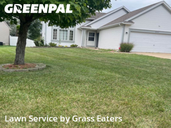Grass Cut nearby Grand Rapids, MI, 