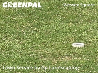Lawn Mow nearby Charlotte, NC, 
