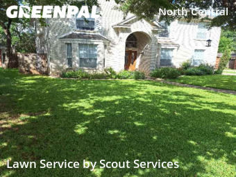 Lawn Mowing Service nearby San Antonio, TX, 