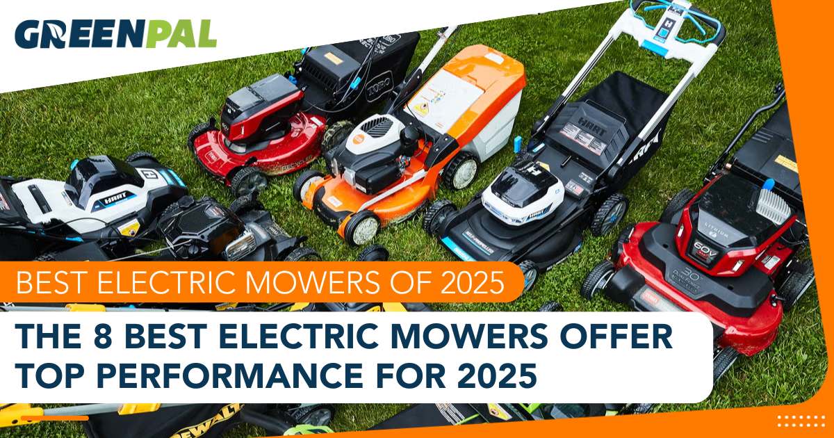 Top 8 Best Electric Lawn Mowers for Every Yard 2026 | GreenPal
