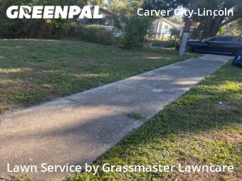 Lawn Mow nearby Tampa, FL, 