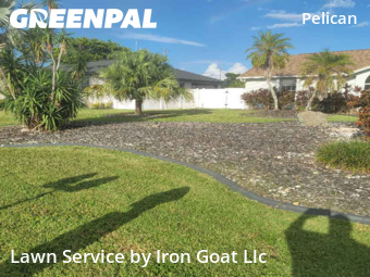 Yard Mowing nearby Cape Coral, FL, 
