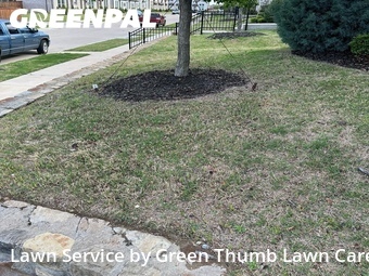 Yard Cutting nearby Mc Kinney, TX, 
