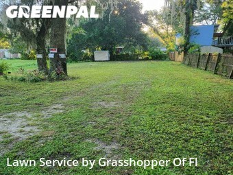 Lawn Care nearby Brandon, FL, 