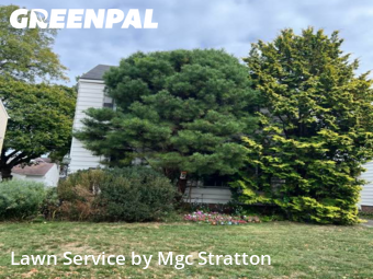 Lawn Upkeep in South Euclid, 44121, Weekly Mowing by Mgc Stratton, work completed in Dec , 2025
