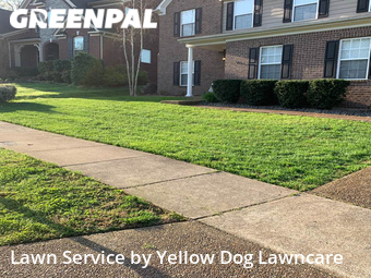 Lawn Maintenance nearby Hendersonville, TN, 