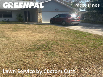 Yard Mowing nearby Holiday, FL, 