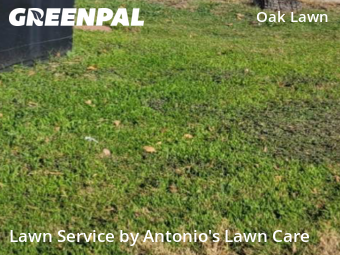 Landscaping Installation Dallas,75219,Landscaping Cleanup by Antonio's Lawn Care, work completed in Feb , 2026